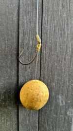 San.Co Bandi Favorite - Image 3